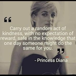 Meet your Posher, Diana